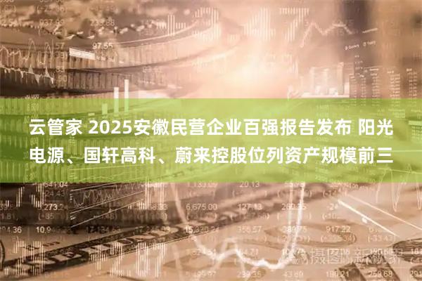 云管家 2025安徽民营企业百强报告发布 阳光电源、国轩高科、蔚来控股位列资产规模前三