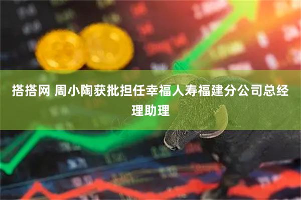 搭搭网 周小陶获批担任幸福人寿福建分公司总经理助理