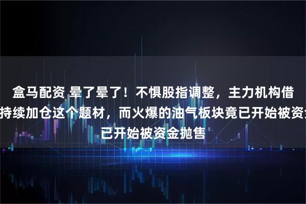 盒马配资 晕了晕了！不惧股指调整，主力机构借道ETF持续加仓这个题材，而火爆的油气板块竟已开始被资金抛售