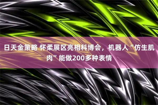 日天金策略 怀柔展区亮相科博会，机器人“仿生肌肉”能做200多种表情