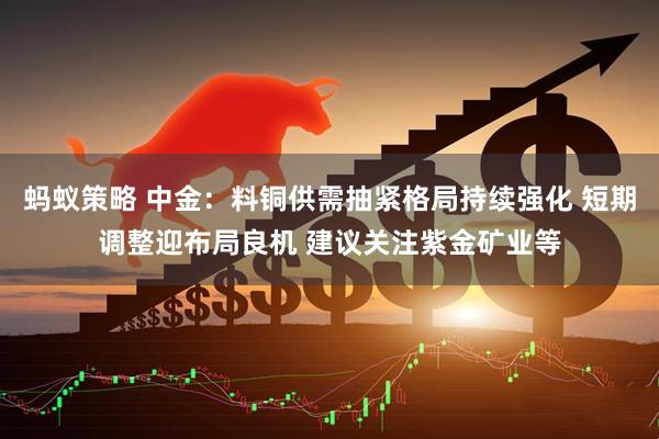 蚂蚁策略 中金：料铜供需抽紧格局持续强化 短期调整迎布局良机 建议关注紫金矿业等